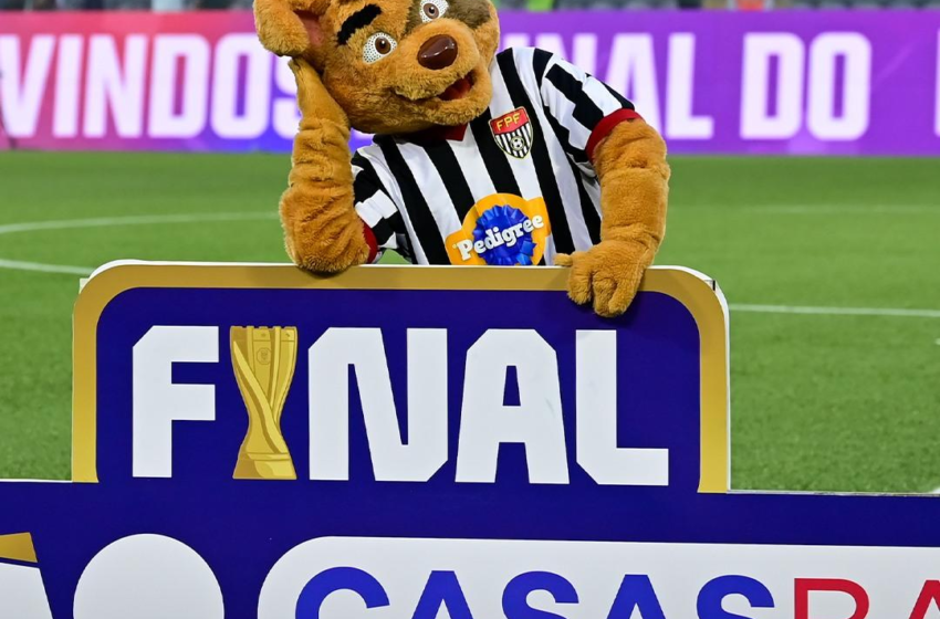  Palmeiras e Novo Horizontino fazem a final do Paulistão Casas Bahia 2026!